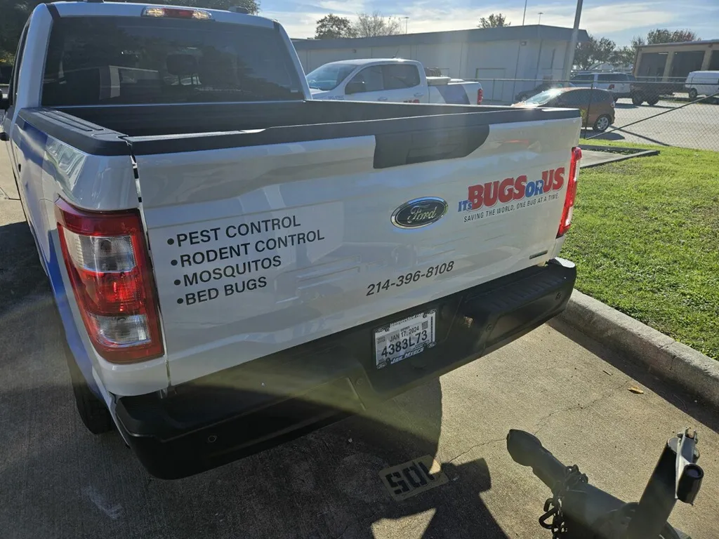 Its Bugs Or Us - Dallas in Dallas, TX — business photo 5