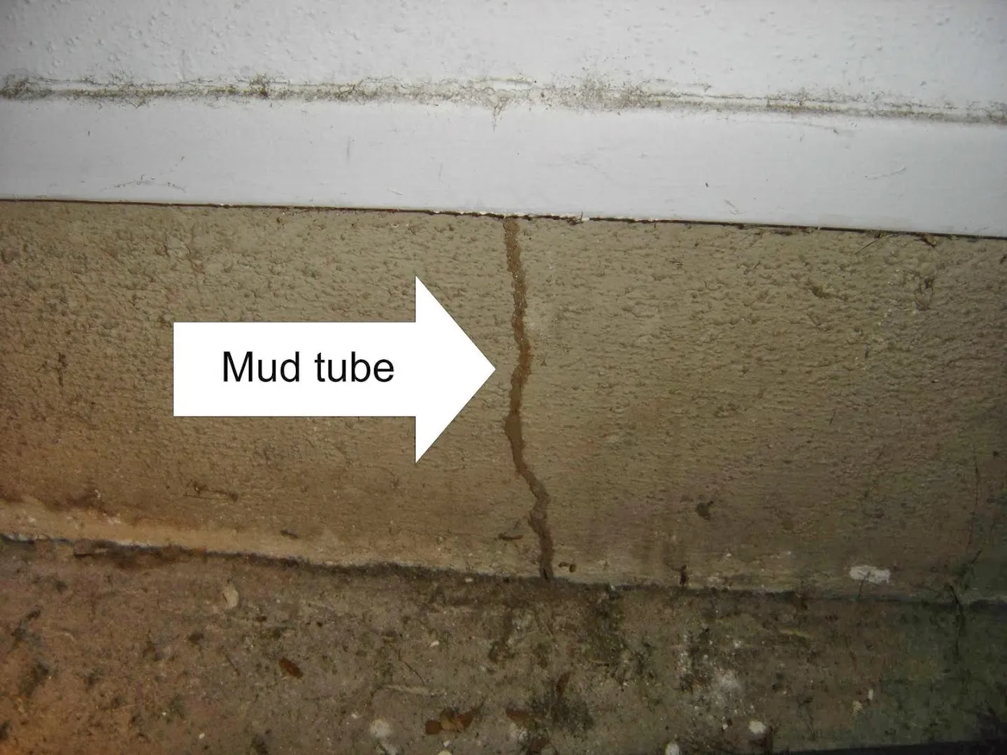 A North Texas Termite Specialist — licensed pest control company in Fort Worth, Texas