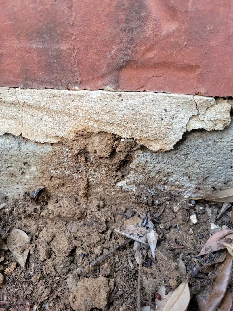 A North Texas Termite Specialist in Fort Worth, TX — business photo 4