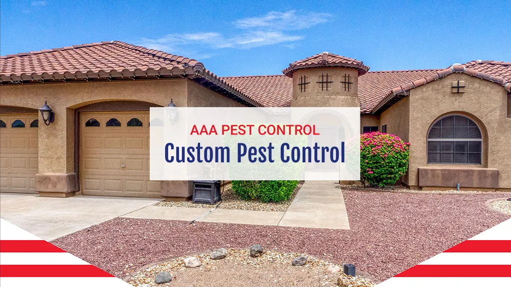 AAA Pest Control Inc in El Paso, TX — business photo 2