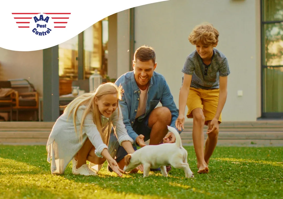 AAA Pest Control Inc in El Paso, TX — business photo 3