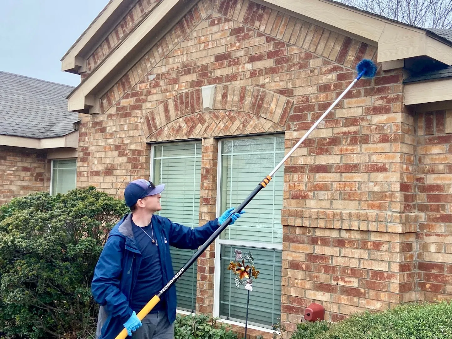 Alamo Termite & Pest Control in Dallas, TX — business photo 3