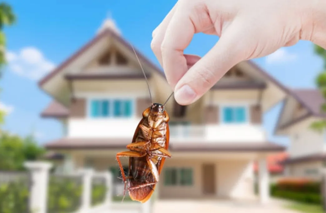 Abads Pest Control in Edinburg, TX — business photo 2