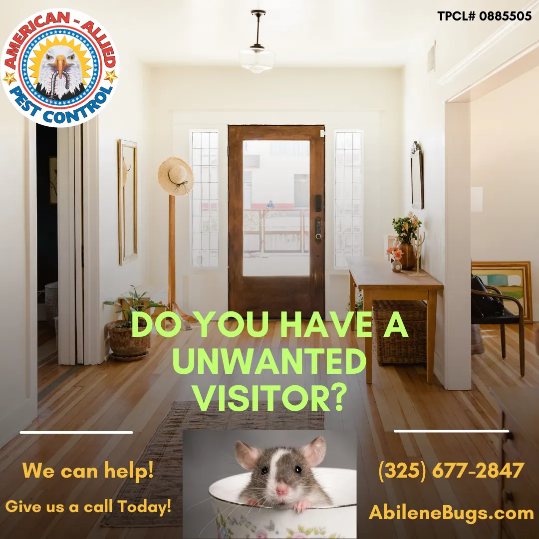 American-Allied Pest Control in Abilene, TX — business photo 4