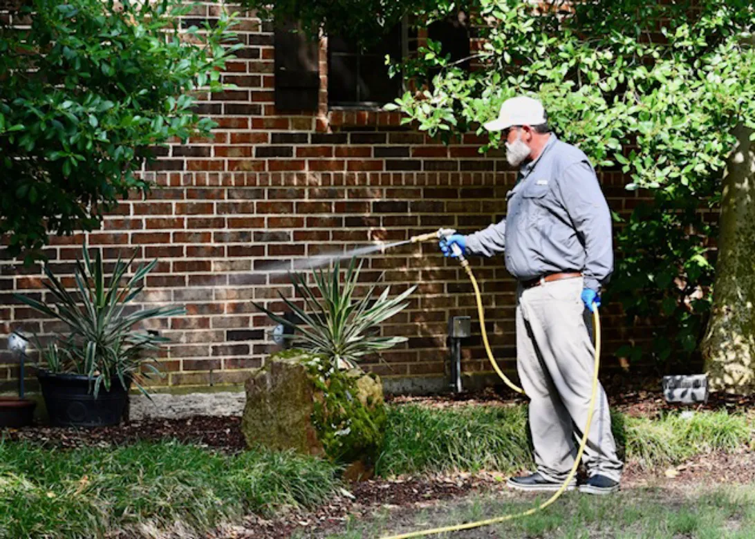 Home Run Pest & Termite Control in Dallas, TX — business photo 6
