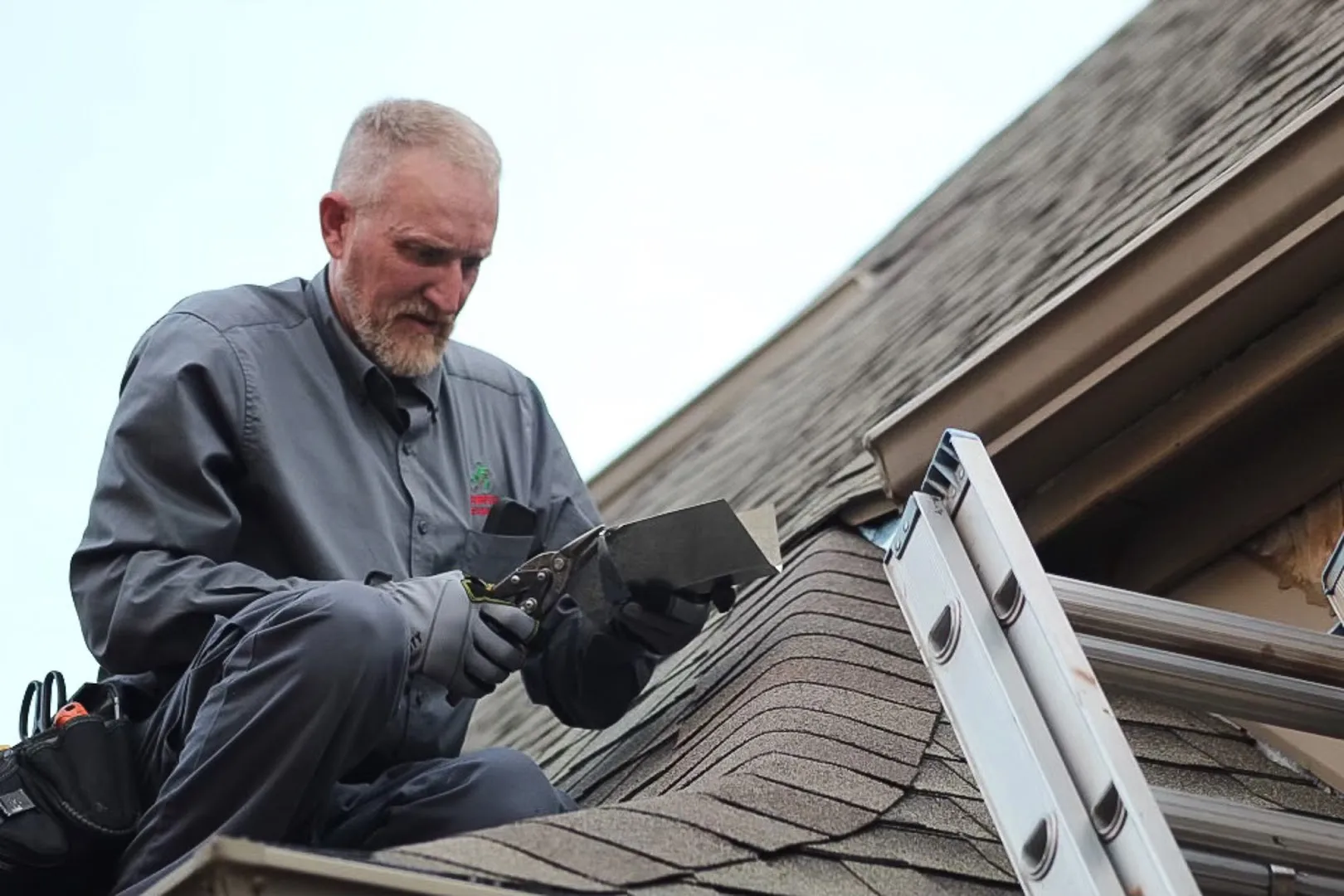 Abrock Pest Management Inc. in Dallas, TX — business photo 2