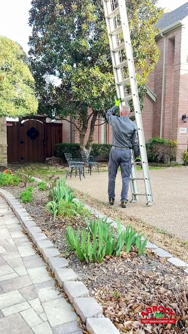 Abrock Pest Management Inc. in Dallas, TX — business photo 3
