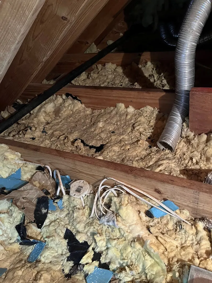 Abrock Pest Management Inc. in Dallas, TX — business photo 4