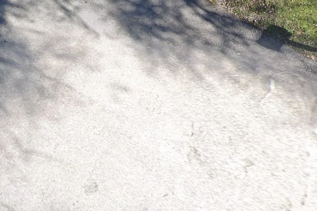 Absolute Pest Control — pest control in Houston, HARRIS County, TX