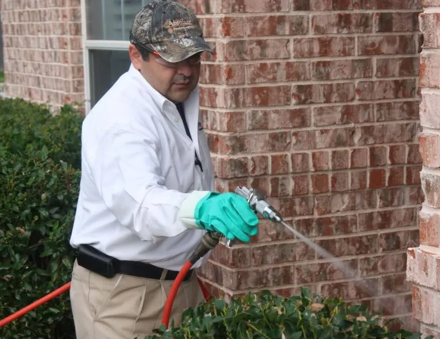 Absolute Pest Management in San Marcos, TX — business photo 5