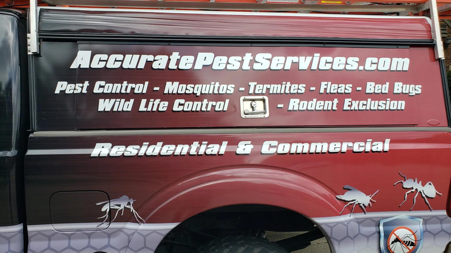 Accurate Pest Services in Denton, TX — business photo 5