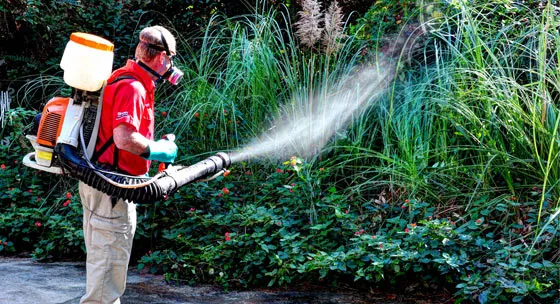 American Exterminating, Inc. in Gilmer, TX — business photo 3