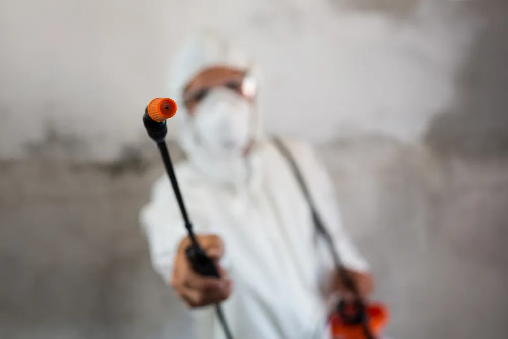 Ace Pest Control in Conroe, TX — business photo 2