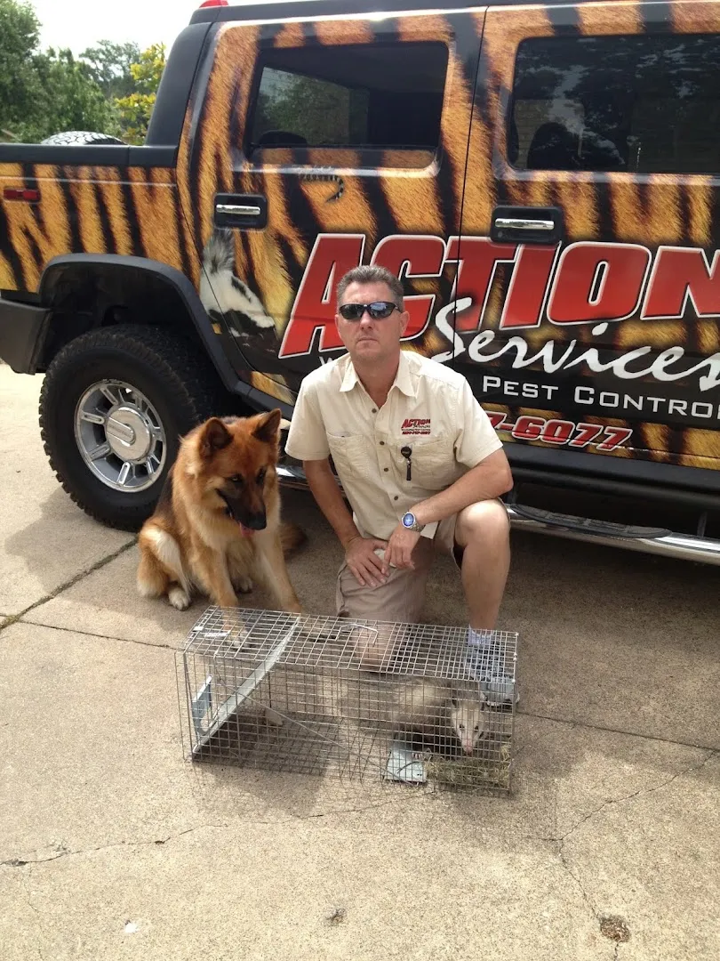 Action Services WildLife & Pest Control in Waco, TX — business photo 2