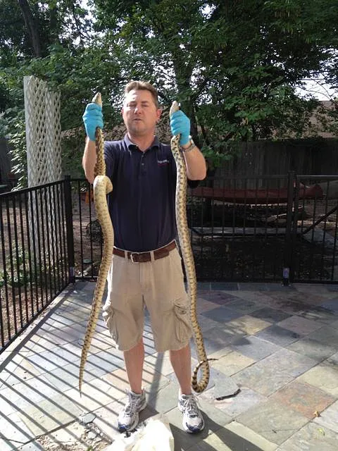 Action Services WildLife & Pest Control in Waco, TX — business photo 4