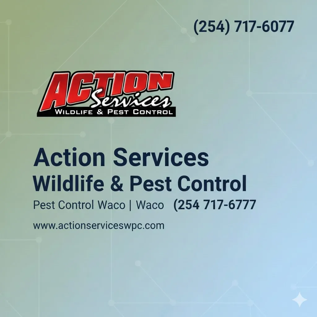 Action Services WildLife & Pest Control in Waco, TX — business photo 5