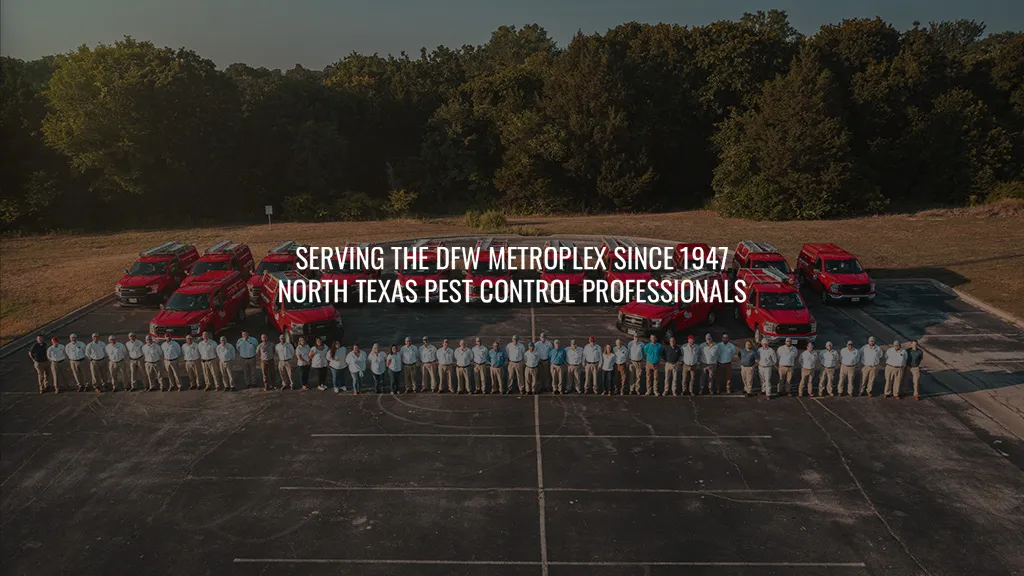 Adams Exterminating in Denton, TX — business photo 2