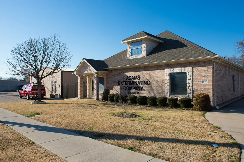 Adams Exterminating in Denton, TX — business photo 4