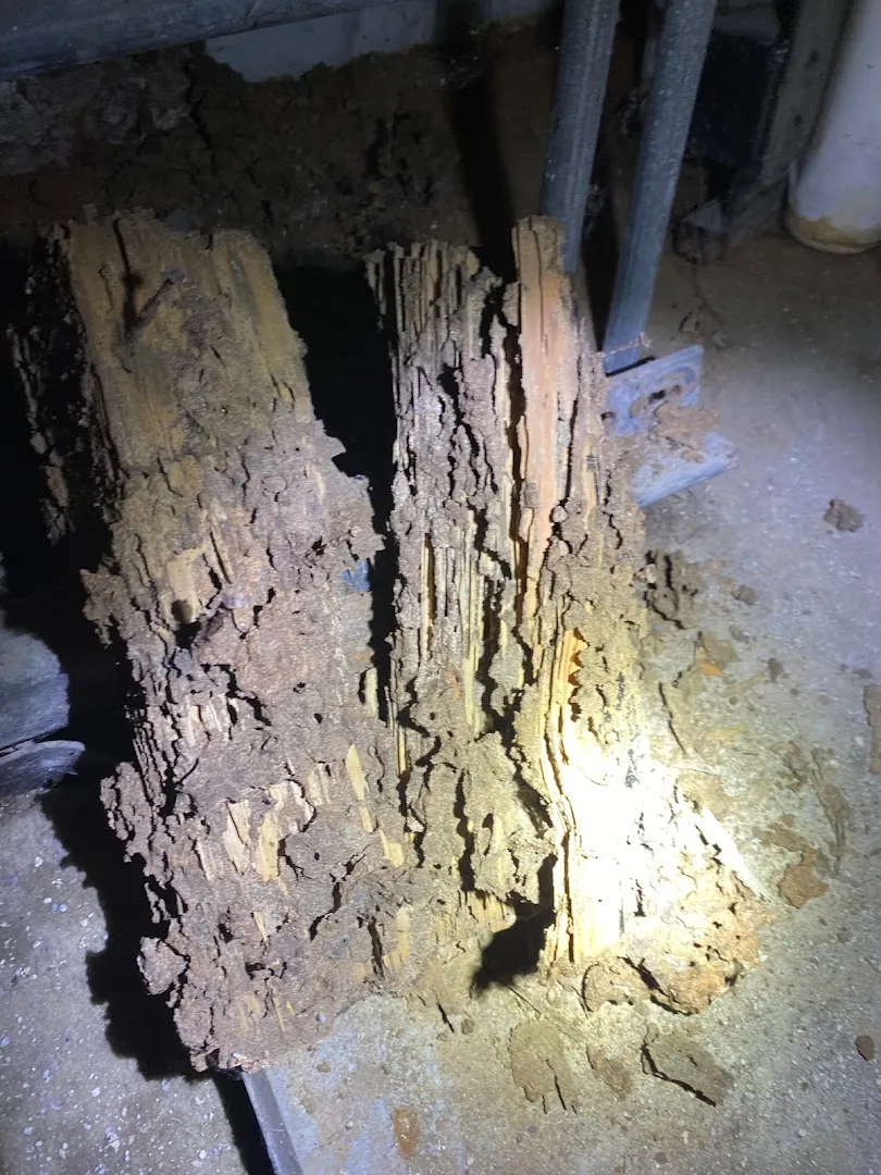 Advanced Bed Bugs & Pest Services in Fort Worth, TX — business photo 5