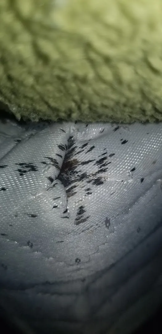 Aim Pest Control, Inc in Beeville, TX — business photo 6