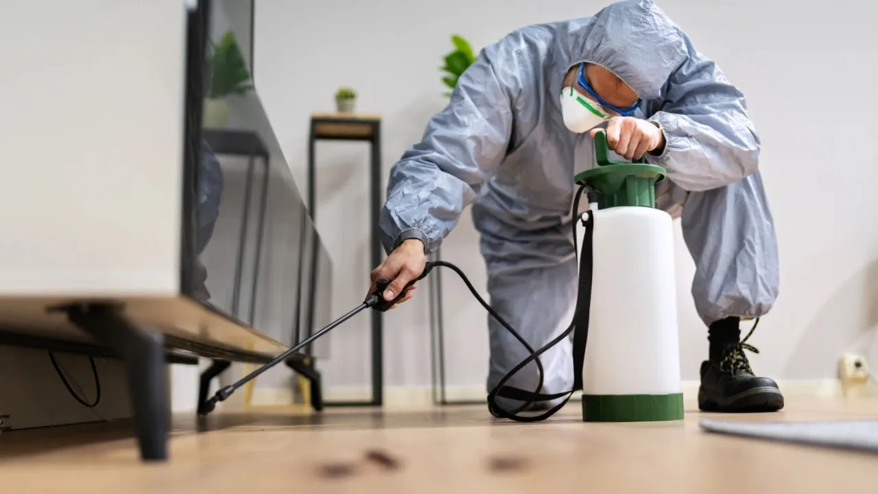 Aim Pest Control, Inc — pest control in Dallas, DALLAS County, TX