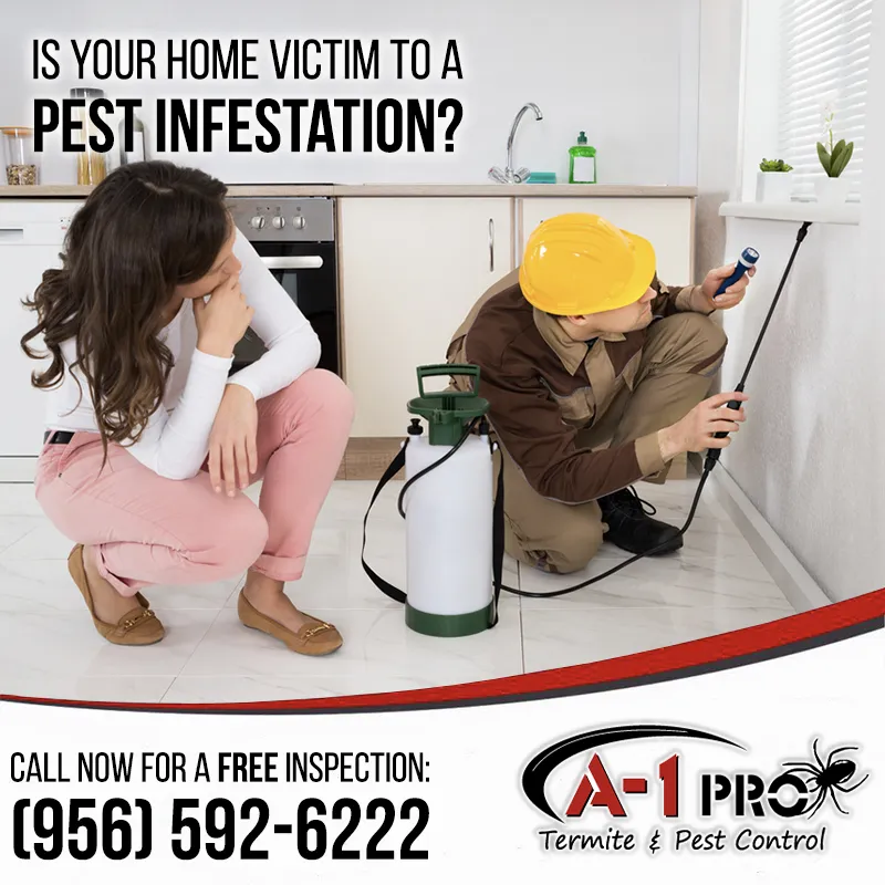 A-1 Pro Termite & Pest Control in Brownsville, TX — business photo 3
