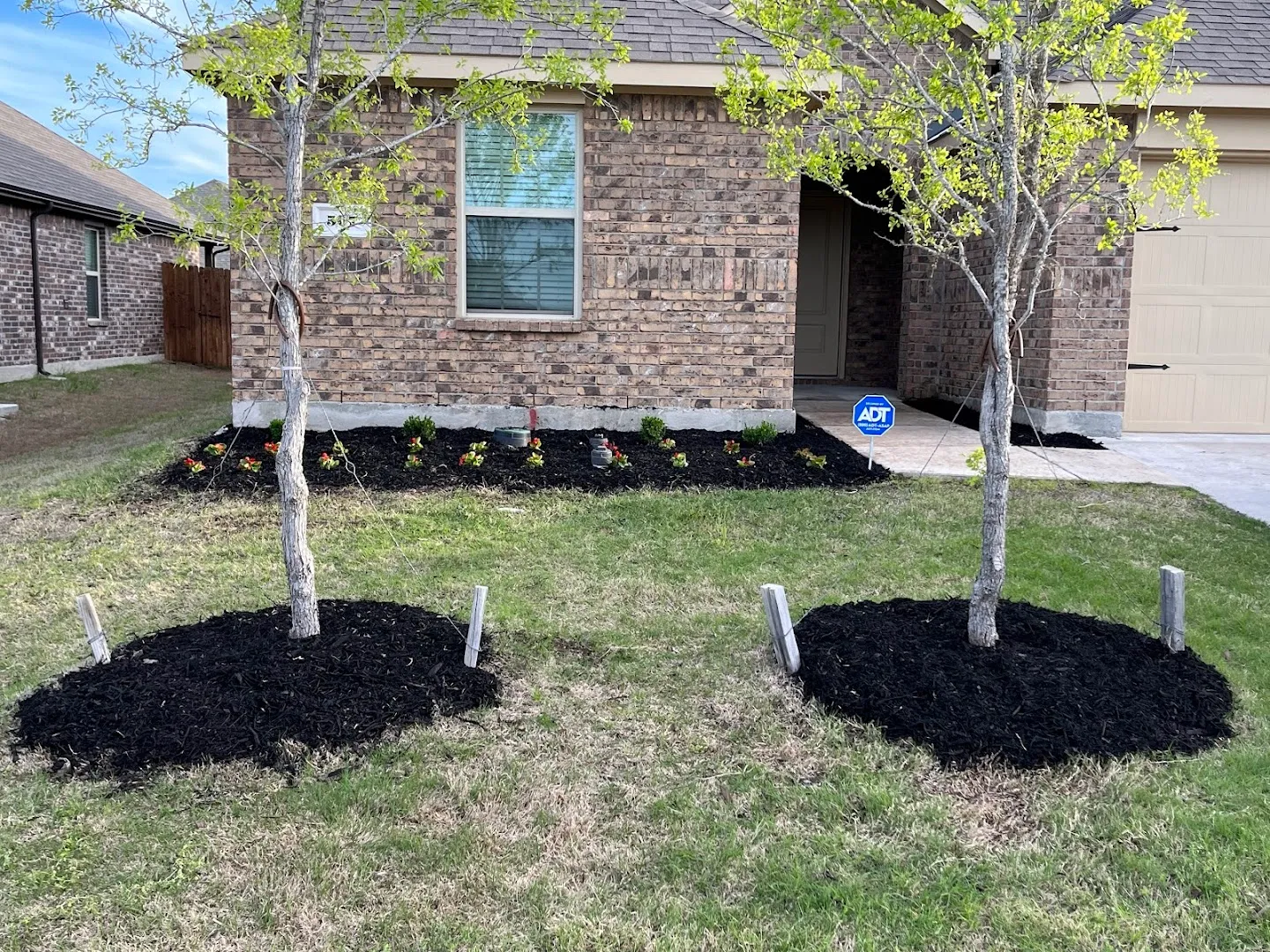 All American Pest Mosquito and Lawn in Angleton, TX — business photo 4