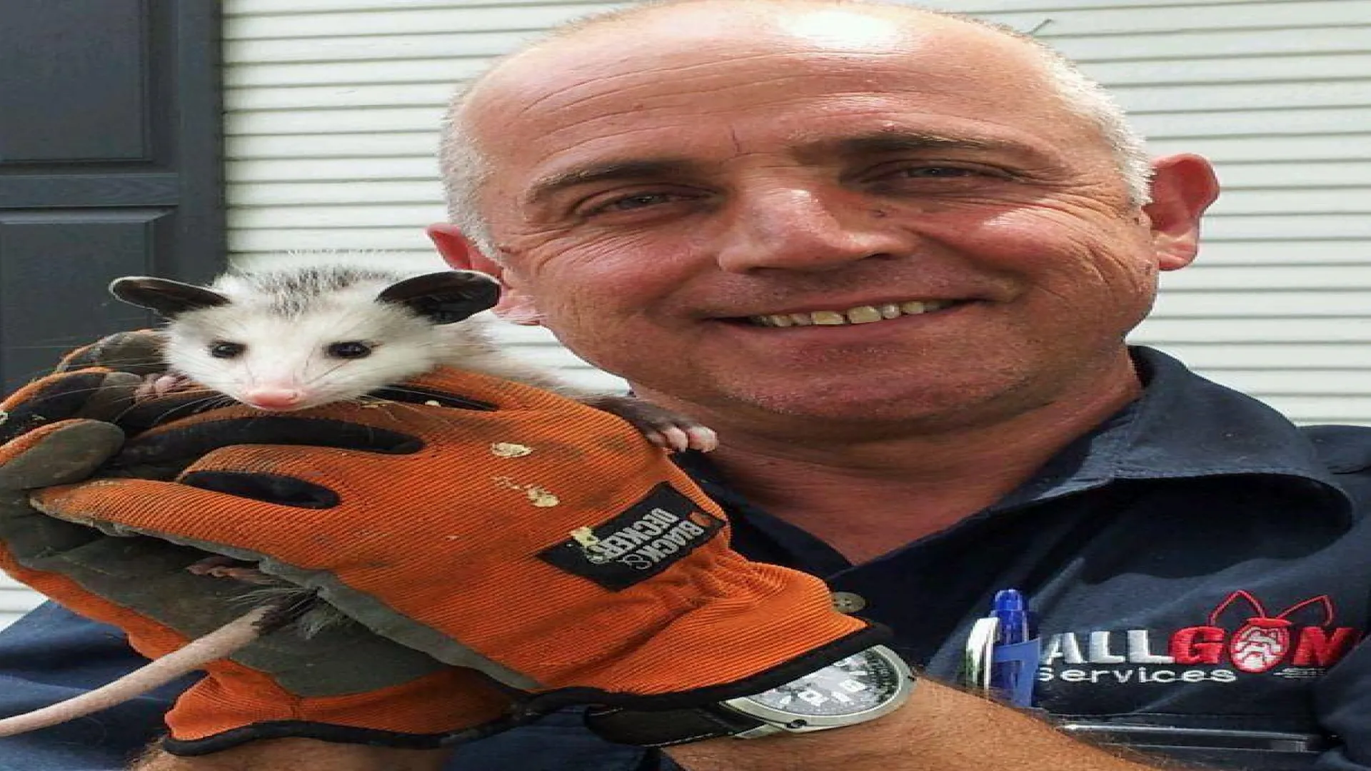 AllGone Services — pest control in Fort Worth, TARRANT County, TX