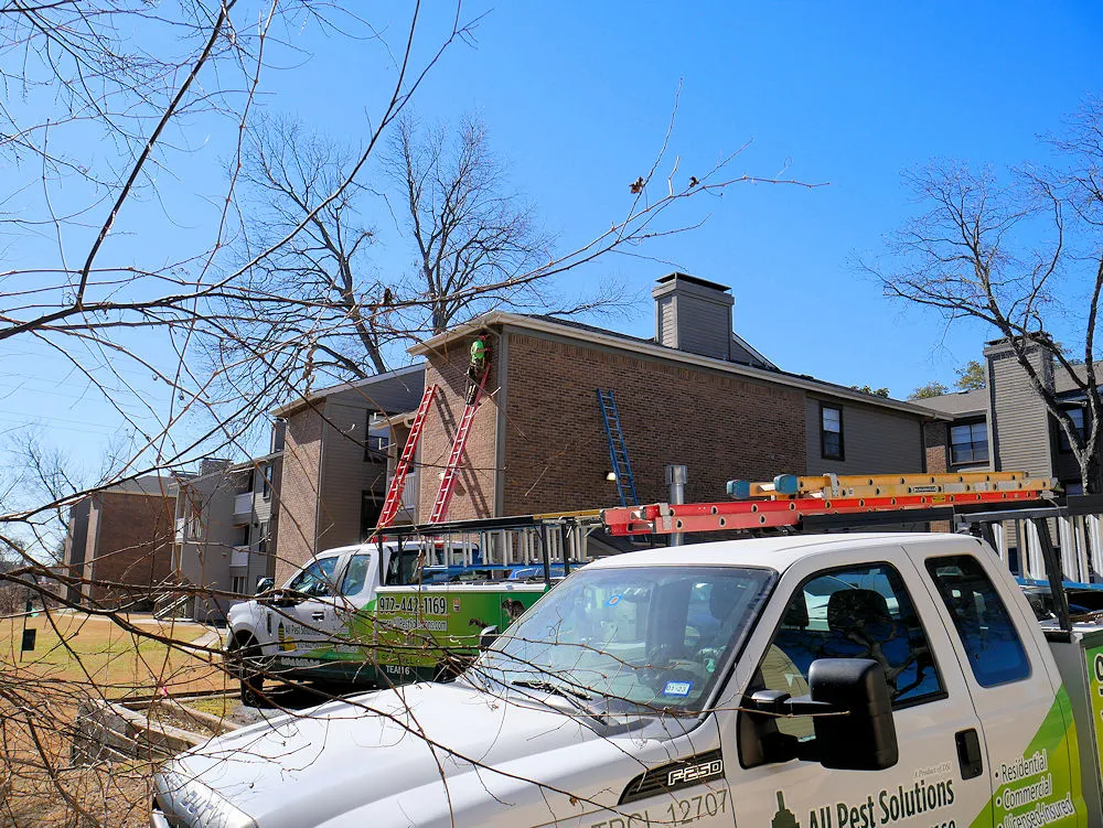 All Pest Solutions — pest control in McKinney, COLLIN County, TX