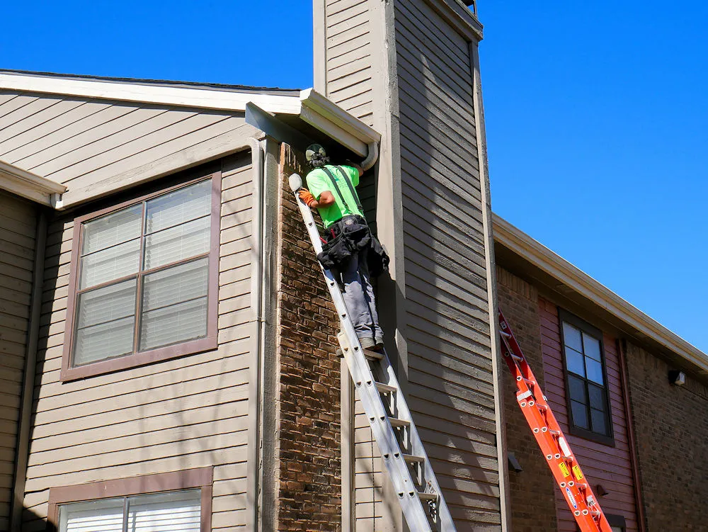 All Pest Solutions in McKinney, TX — business photo 3