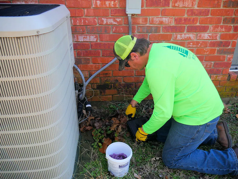 All Pest Solutions in McKinney, TX — business photo 4