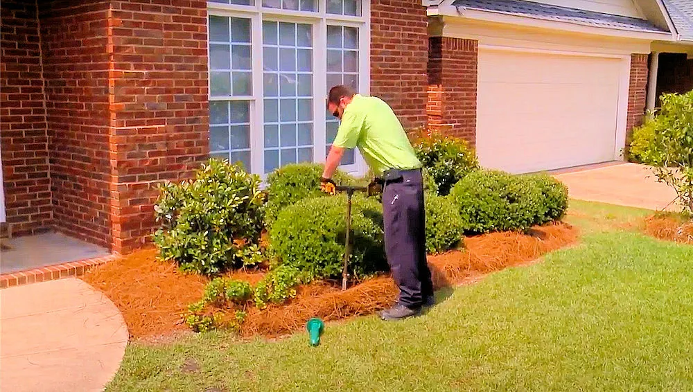 All Pest Solutions in McKinney, TX — business photo 5