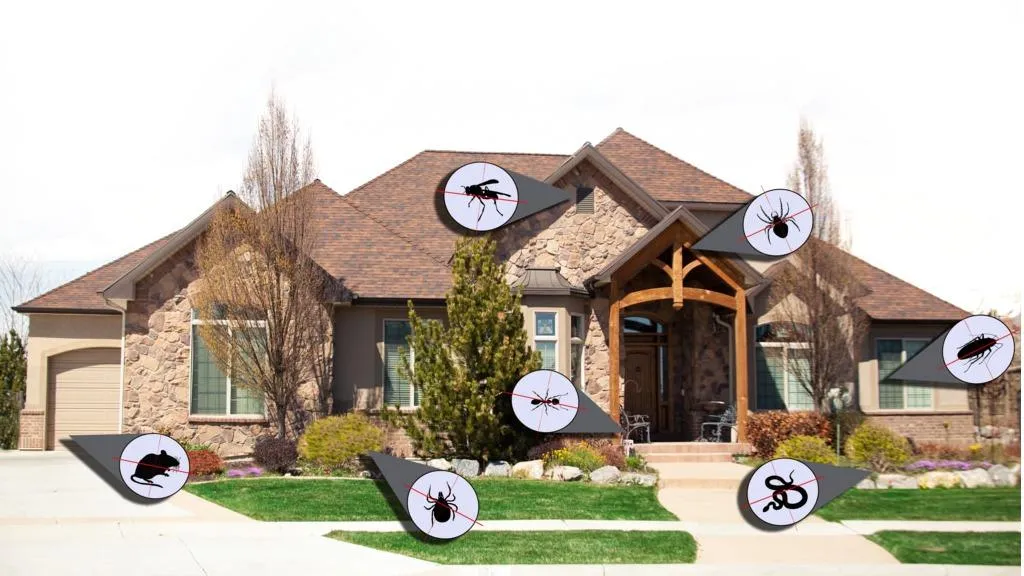 All Pro Pest Control in Amarillo, TX — business photo 2