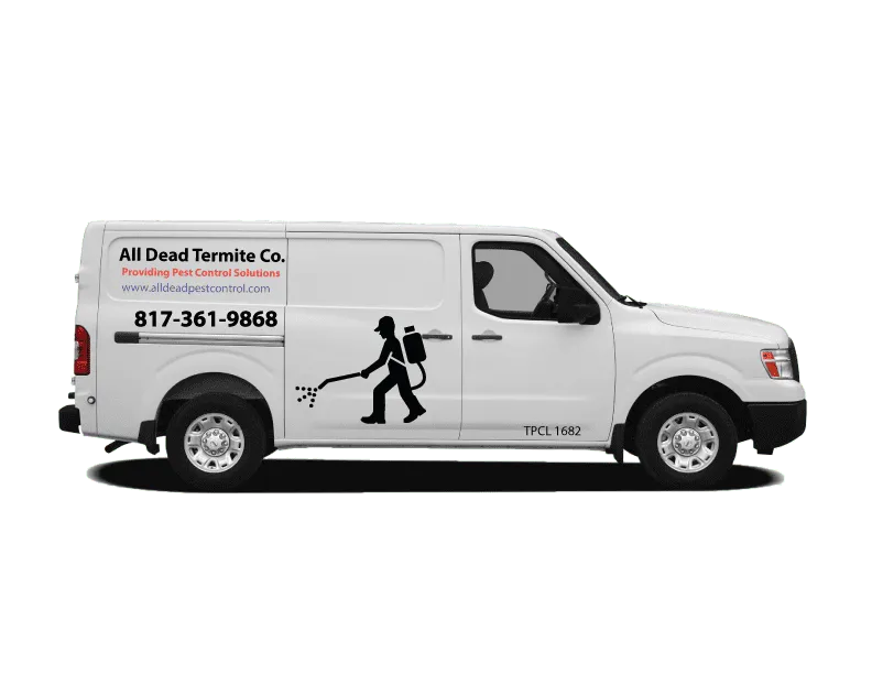 All Dead Termite Co. in Fort Worth, TX — business photo 2
