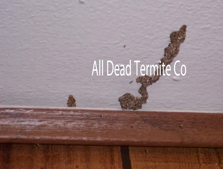All Dead Termite Co. in Fort Worth, TX — business photo 4