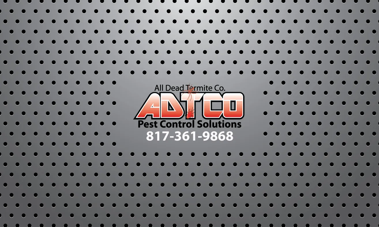 All Dead Termite Co. in Fort Worth, TX — business photo 6