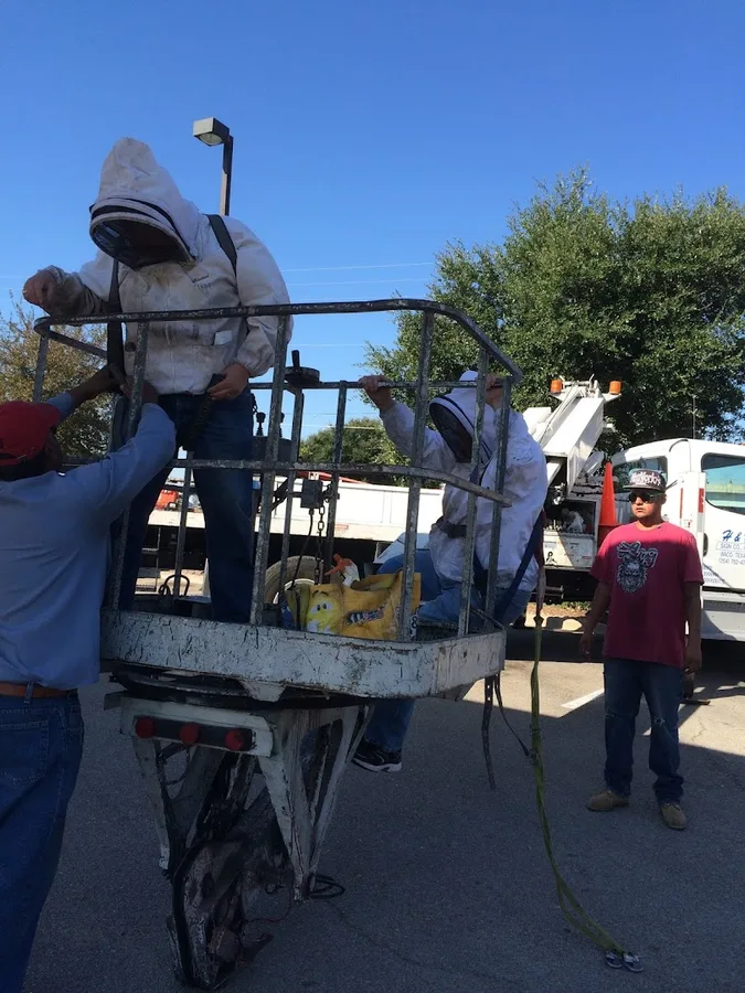 Allen Miller's Bees Be Gone in Waco, TX — business photo 4