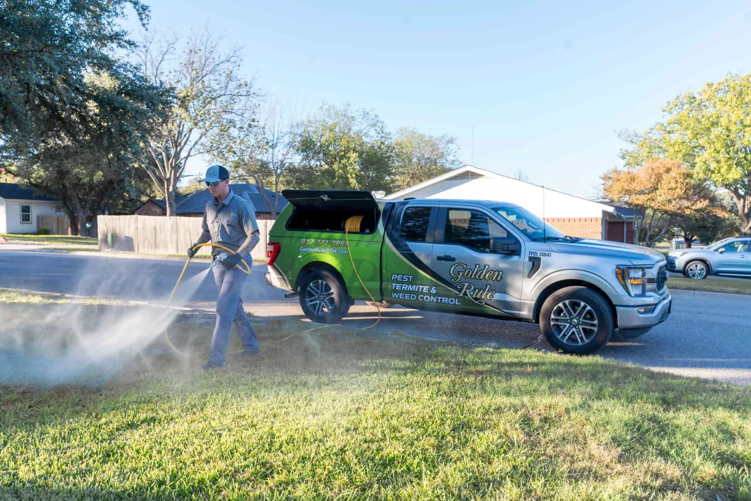 Golden Rule Pest Termite & Weed Control — pest control in Weatherford, PARKER County, TX