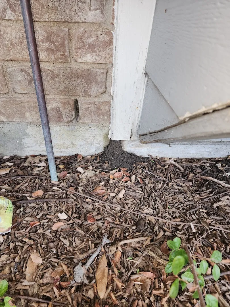 Ally Pest and Termite in Fort Worth, TX — business photo 6