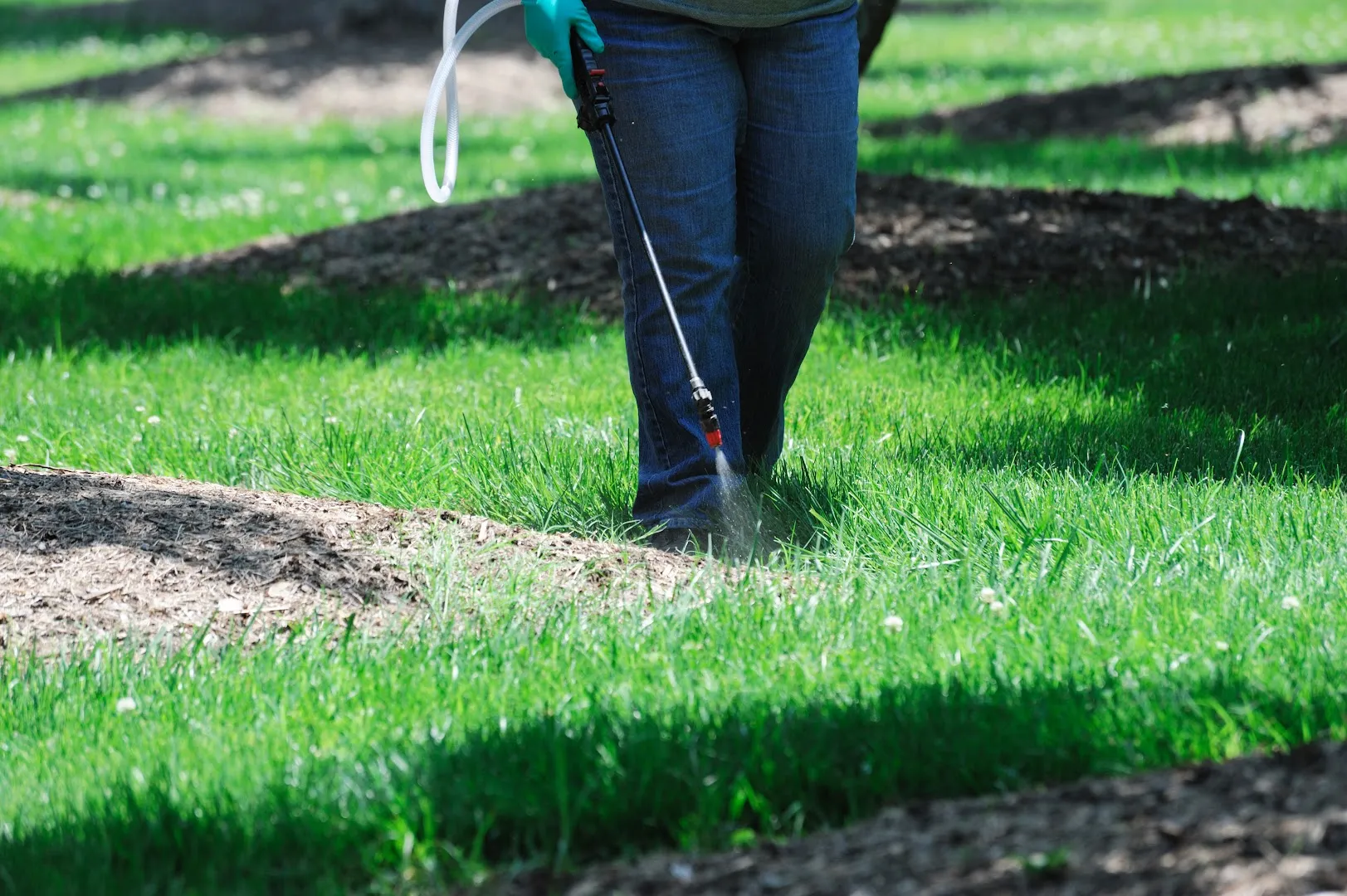 Allstar Pest Control in Bryan, TX — business photo 6