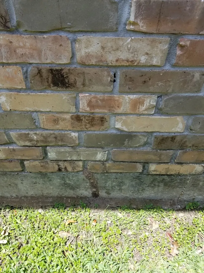 Al's Pest Control Service Inc. in Dallas, TX — business photo 3