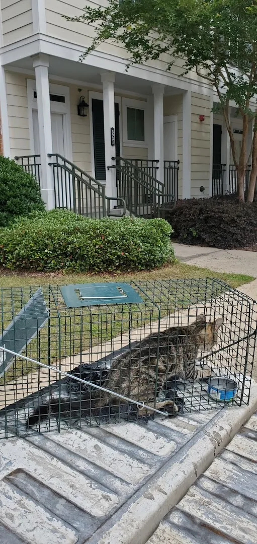 Al's Pest Control Service Inc. in Dallas, TX — business photo 5