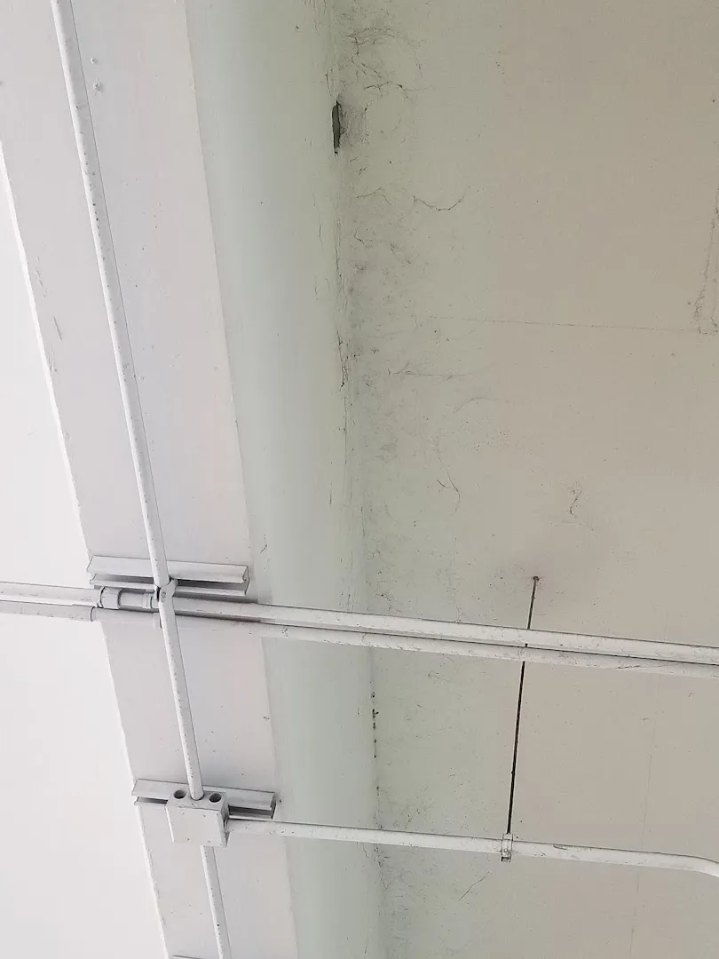 Al's Pest Control Service Inc. in Dallas, TX — business photo 6