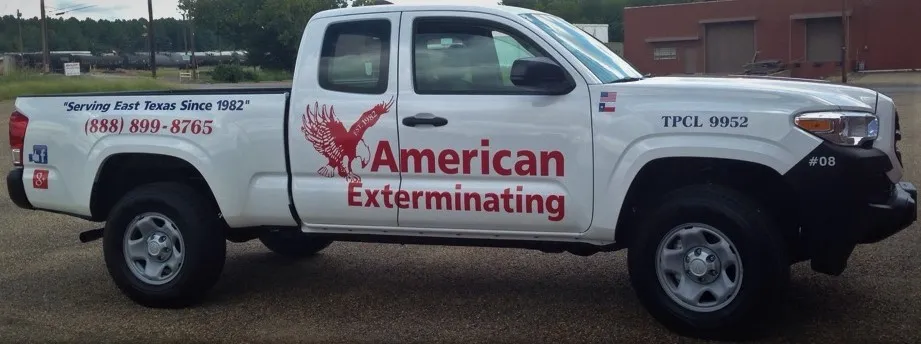 American Exterminating, Inc. — pest control in Longview, GREGG County, TX