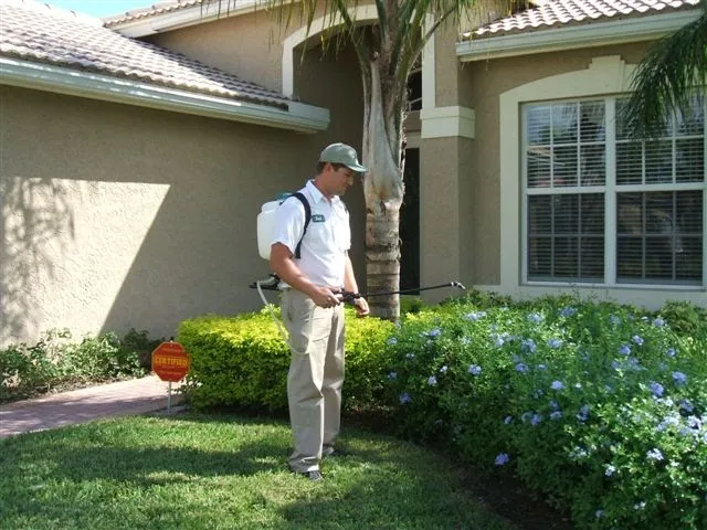 Americana Termite & Pest Control — pest control in McKinney, COLLIN County, TX
