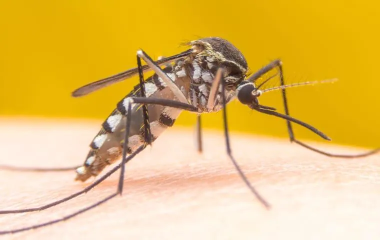 Around the Block Pest Control in McKinney, TX — business photo 2