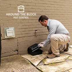 Around the Block Pest Control in McKinney, TX — business photo 5