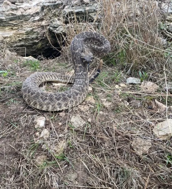 Andy's Pest Troopers in Brownwood, TX — business photo 6