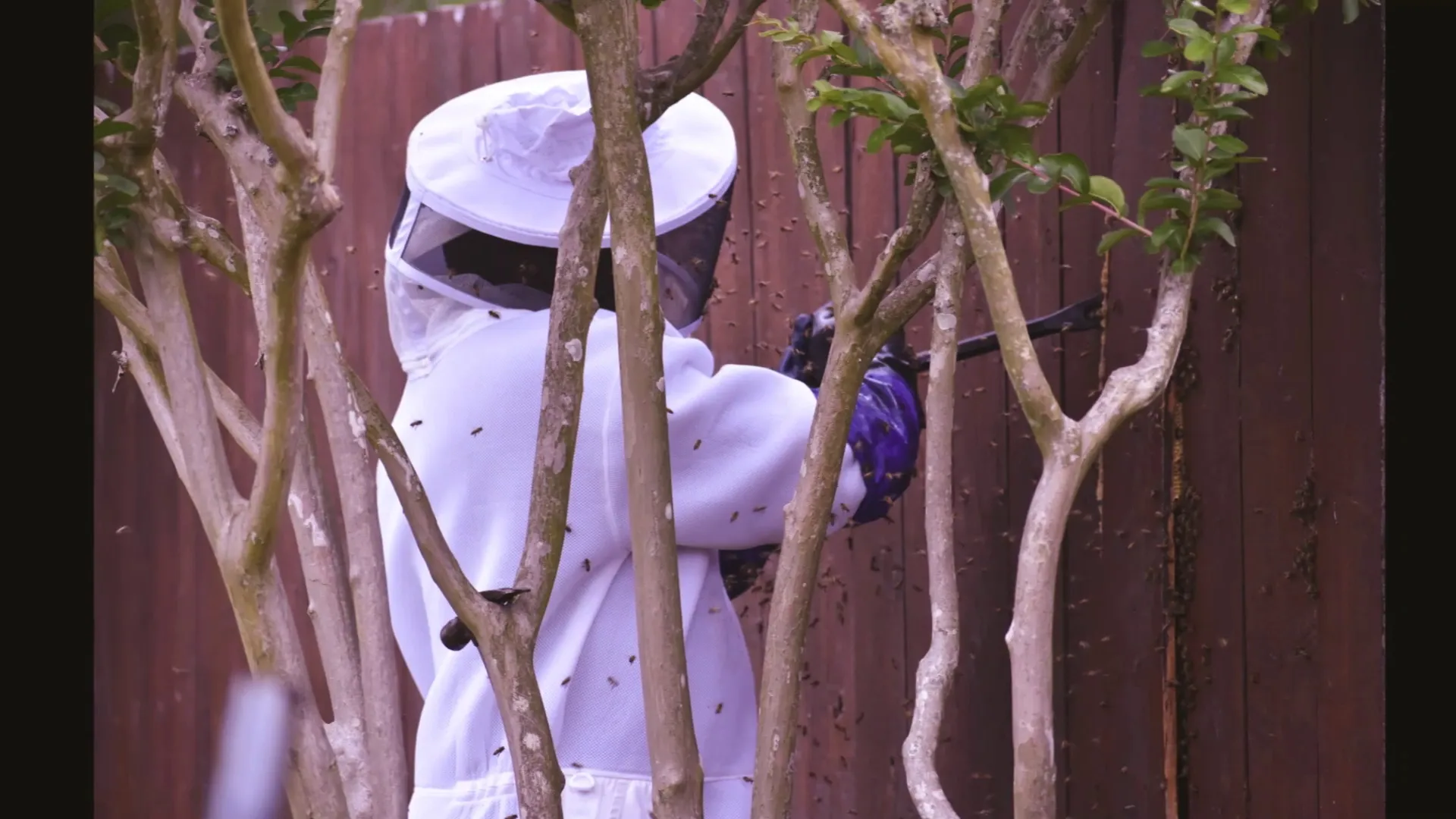 Armor Pest Control in Houston, TX — business photo 4