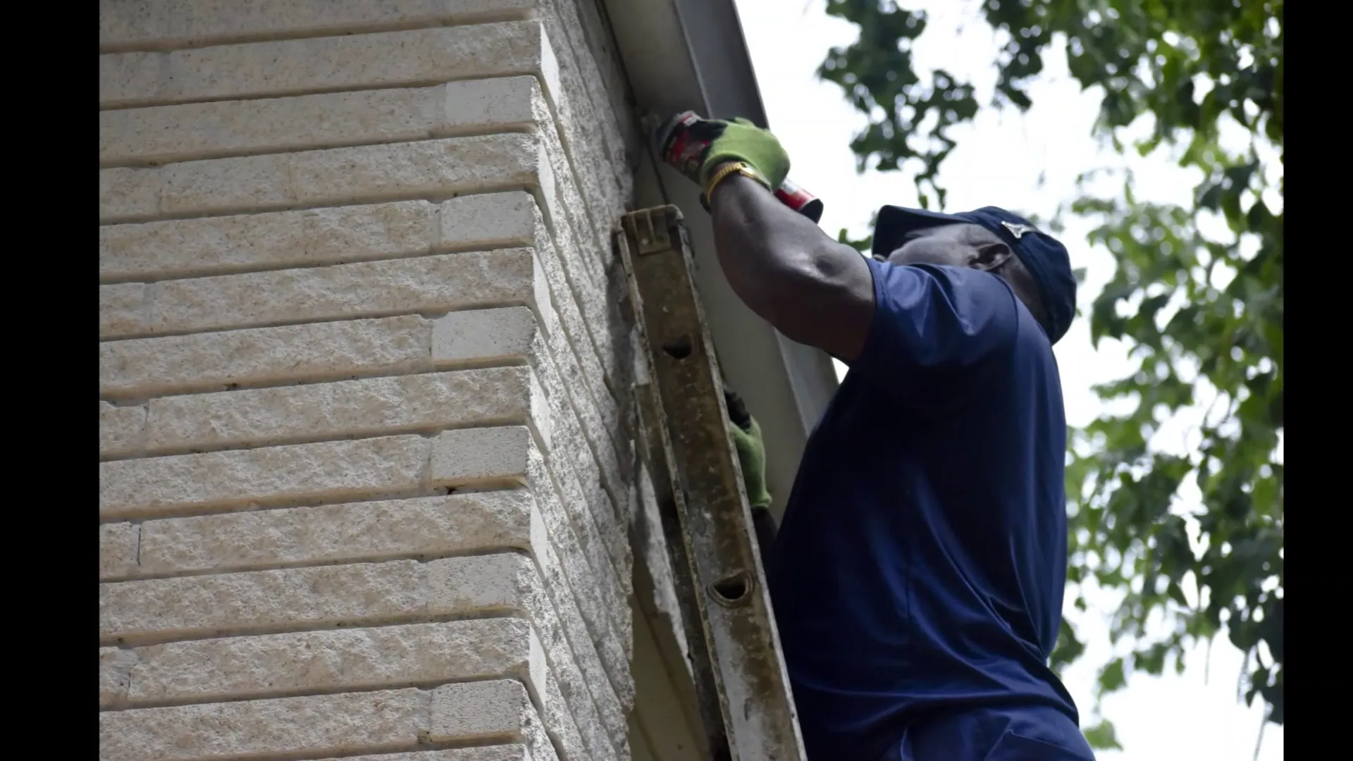 Armor Pest Control in Houston, TX — business photo 5
